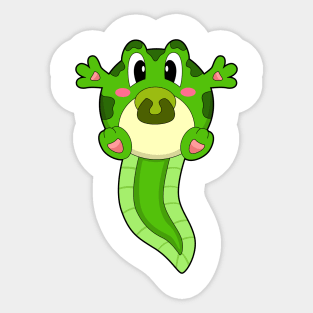 Frog Baby Pacifier Sticker